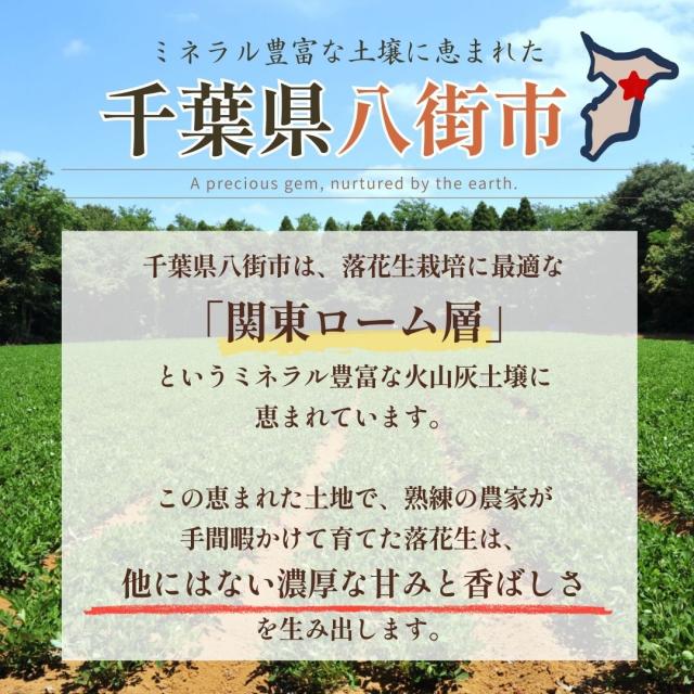 千葉県 八街産 落花生 ピーナッツ 千葉半立 ナカテユタカ 中手豊 Qなっつ 国産 皮ごと 煎りざや 無添加