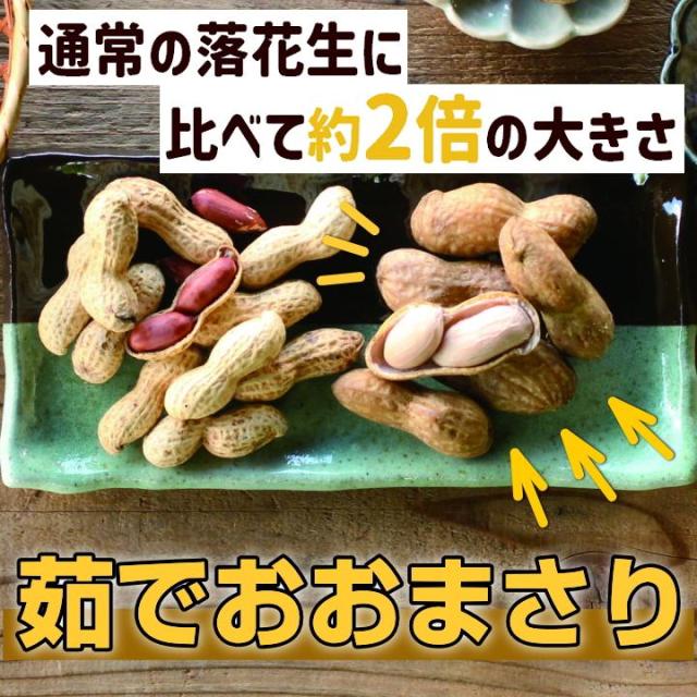 オオマサリのゆで落花生