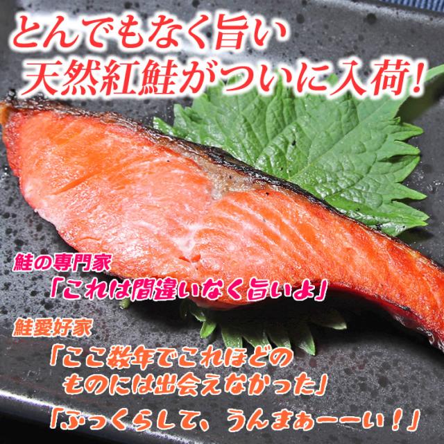 とんでもなく旨い天然紅鮭がついに入荷!