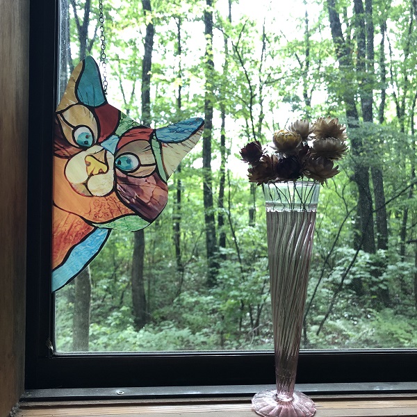 のぞき ネコ プレート