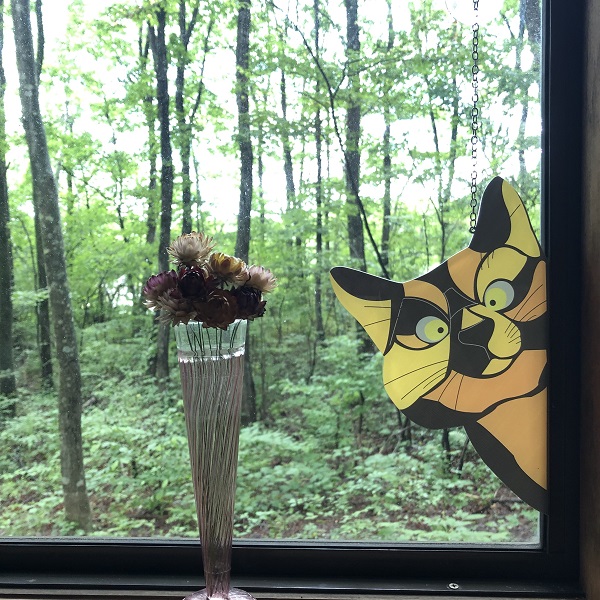 のぞき ネコ プレート