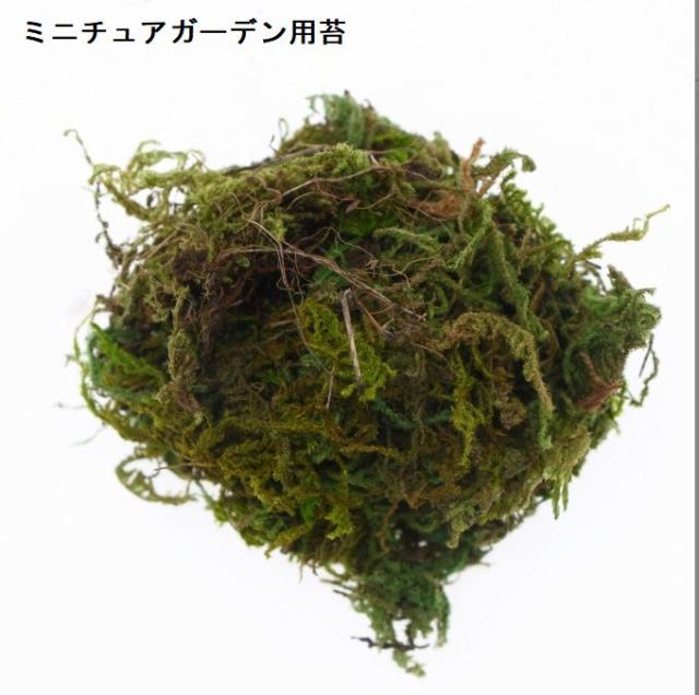 ミニチュア雑貨 庭の苔 ガーデニング
