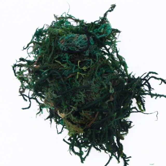 ミニチュア雑貨 庭の苔 ガーデニング