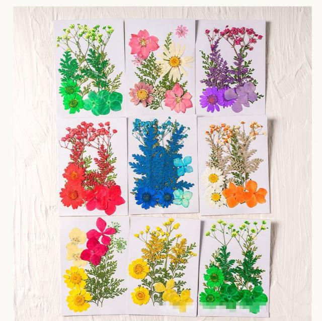 DIY素材　押し花10枚セット