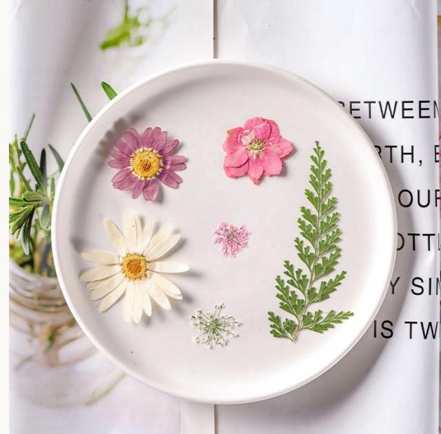 DIY素材　押し花10枚セット