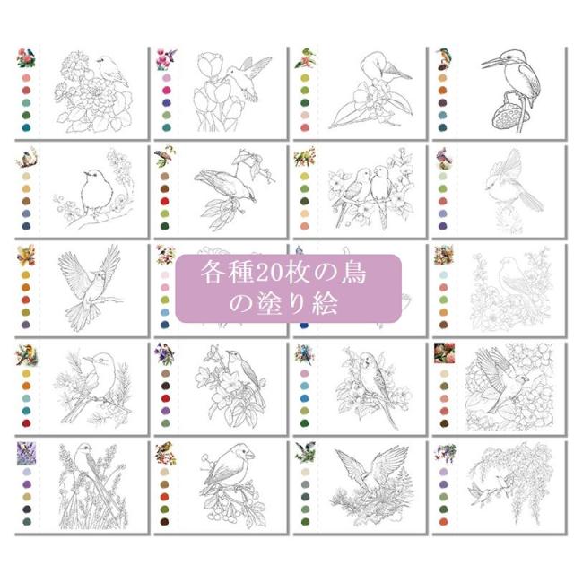 鳥 花 水彩画セット