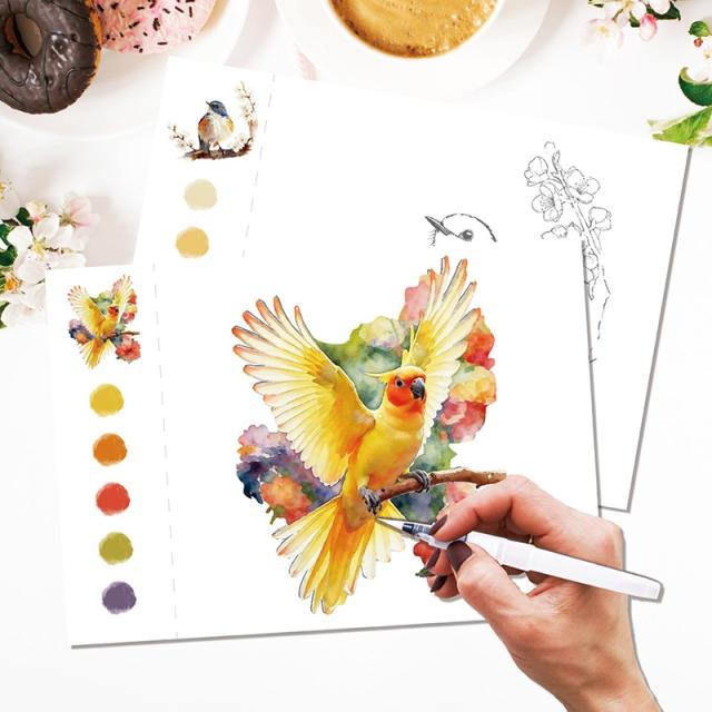 鳥 花 水彩画セット