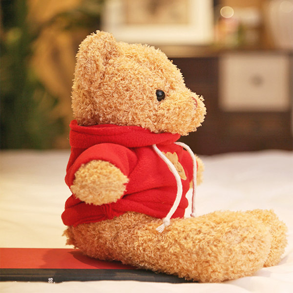 ぬいぐるみ カラー パーカー テディベア