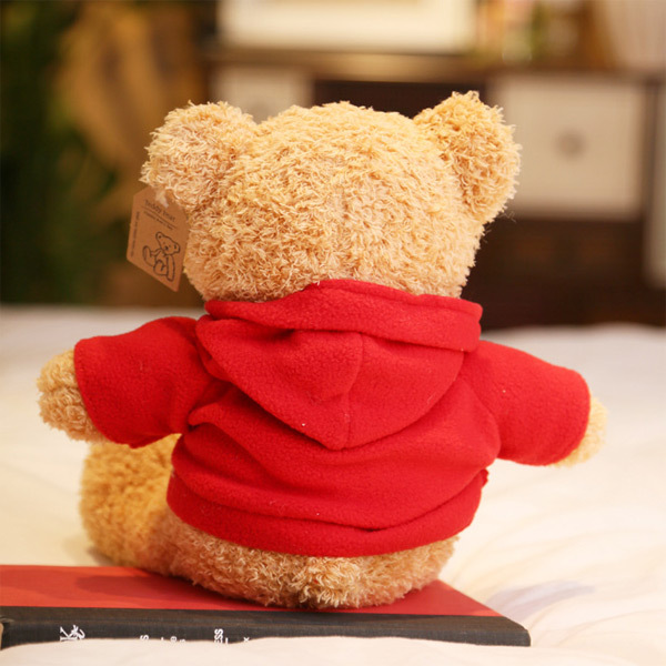 ぬいぐるみ カラー パーカー テディベア