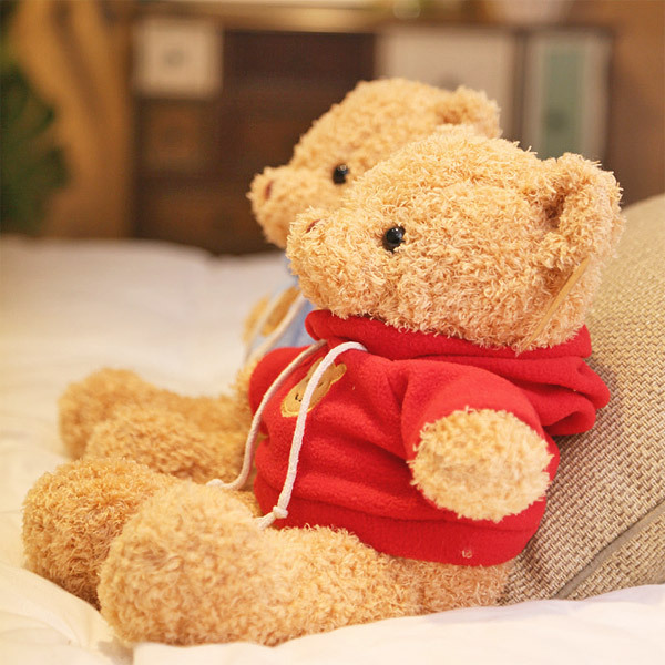 ぬいぐるみ カラー パーカー テディベア