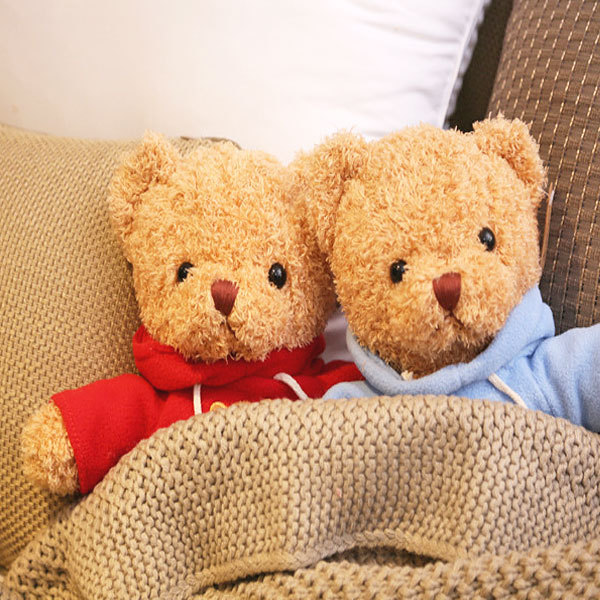 ぬいぐるみ カラー パーカー テディベア