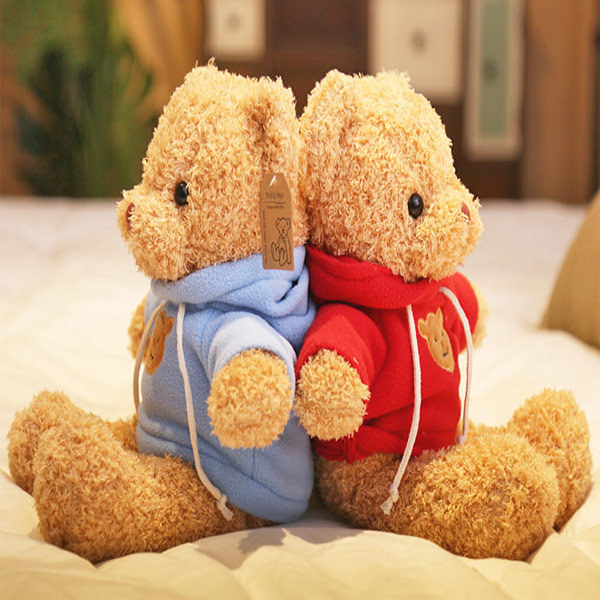 ぬいぐるみ カラー パーカー テディベア