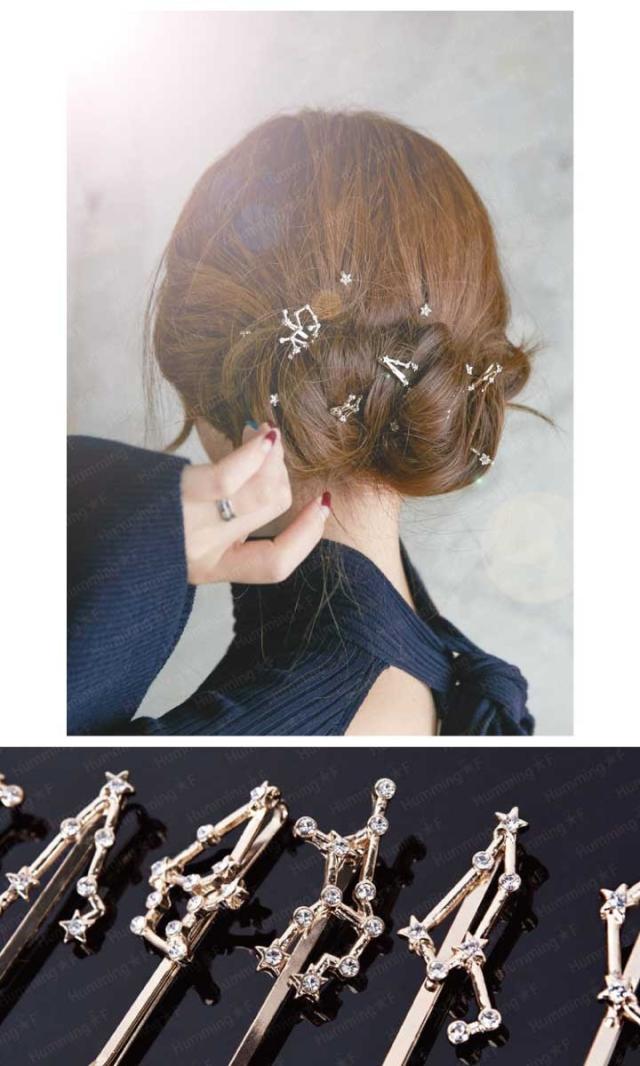 ASHLEY WILLIAMS ラインストーン ヘアピン ピン留 山羊座 12星座 モチーフ ヘアピン2Pセット ヘアピン ヘアクリップ ヘア