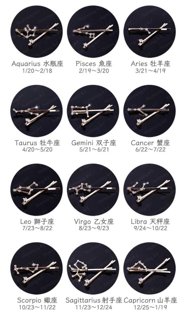 12星座ビジューヘアピン2Pセット