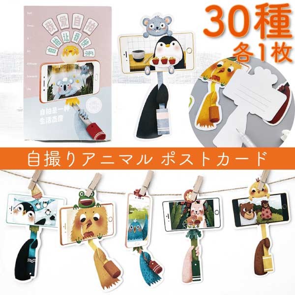 自撮りアニマルポストカード