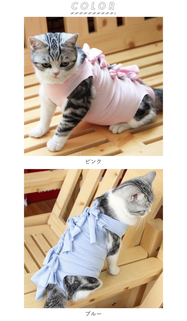 babythree　特別目ハート目　洋服を着てる子猫 ねこくみゃちゃんのドットリボン | BABY, THE STARS SHINE BRIGHT