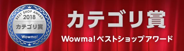 カテゴリ賞受賞