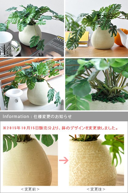 光触媒 観葉植物 モンステラミニ モンステラ 人工観葉植物 造花 V