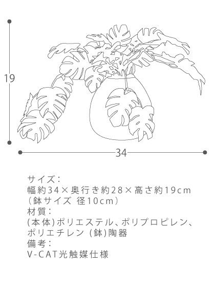 光触媒 観葉植物 モンステラミニ モンステラ 人工観葉植物 造花 V-CAT