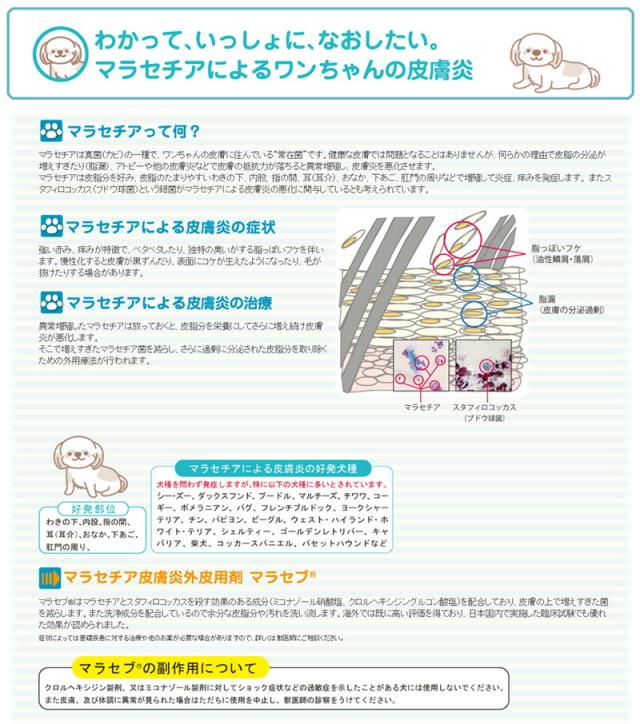 人気特価 犬用 4l キリカン洋行マラセブシャンプー 動物用医薬品 送料無料 その他医薬品 Sutevalle Org