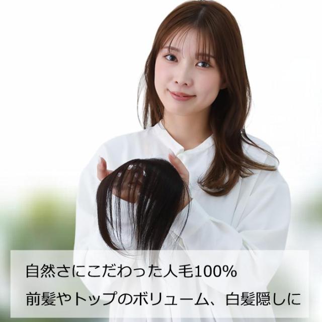 人毛ヘアピース