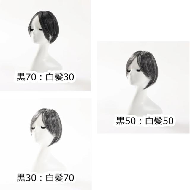 白髪混ヘアピース EC10