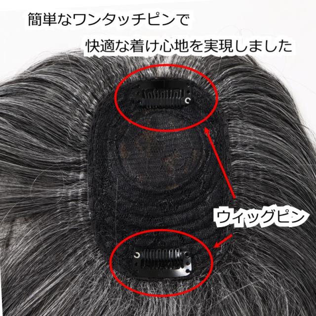 白髪混ヘアピース EC10