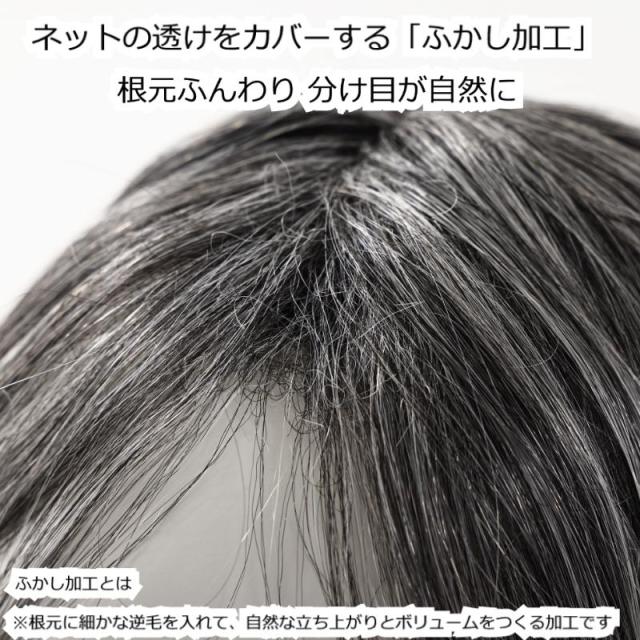 白髪混ヘアピース EC10