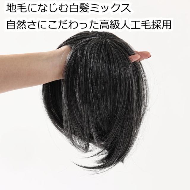 白髪混ヘアピース EC10