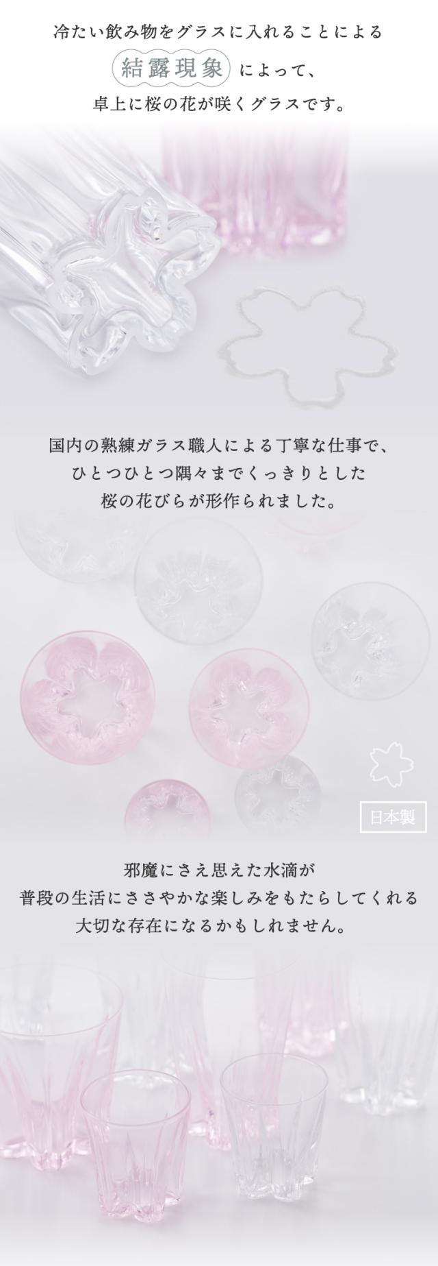  さくらさく グラス ロックグラス コップ 日本製 ガラス