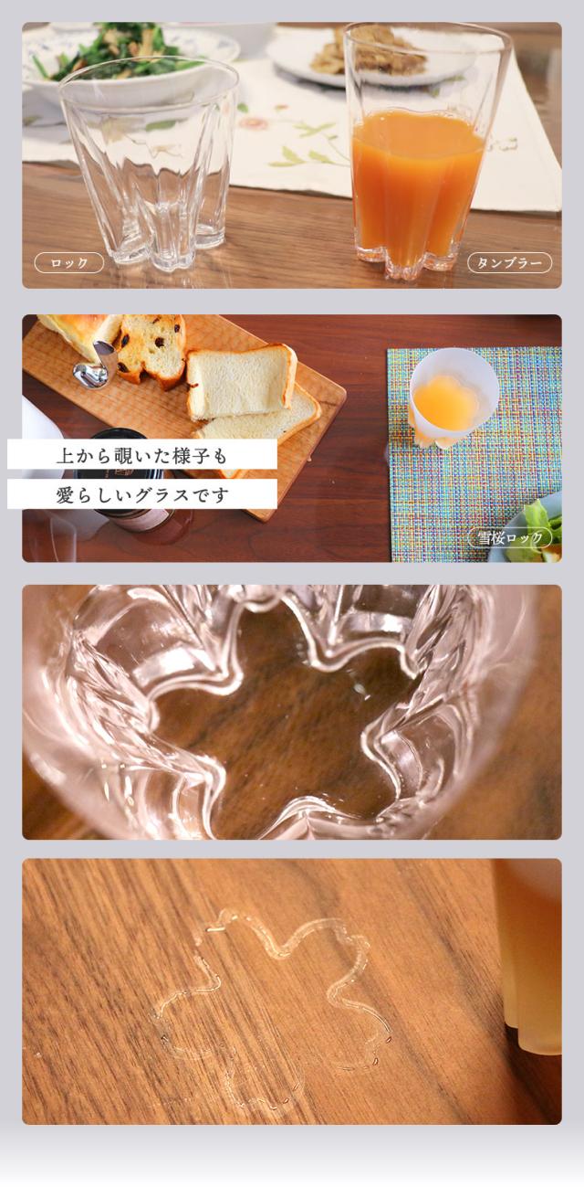  さくらさく グラス ロックグラス コップ 日本製 ガラス