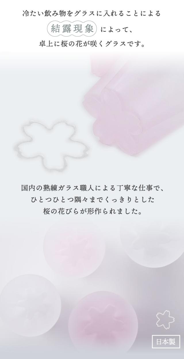  さくらさく 雪桜 グラス タンブラー コップ 日本製 ガラス
