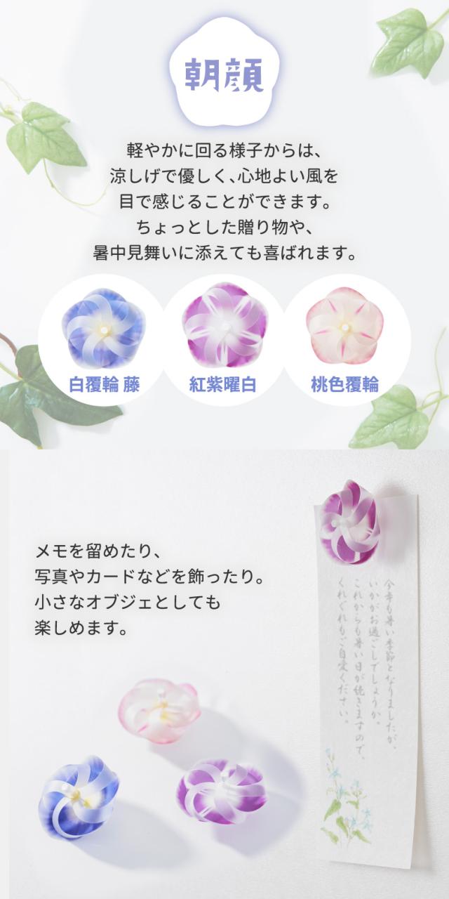 磁石 マグネット 風車 日本製 カゼグルマ 桜 朝顔 3個入 インテリア