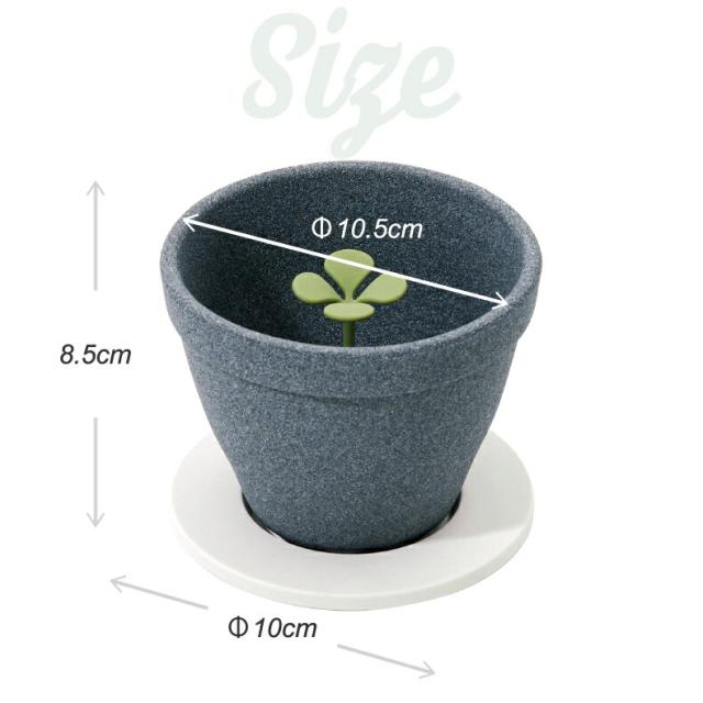 +d キノメ セラミックコーヒーフィルター 2〜4人用 癒し コーヒー ドリッパー