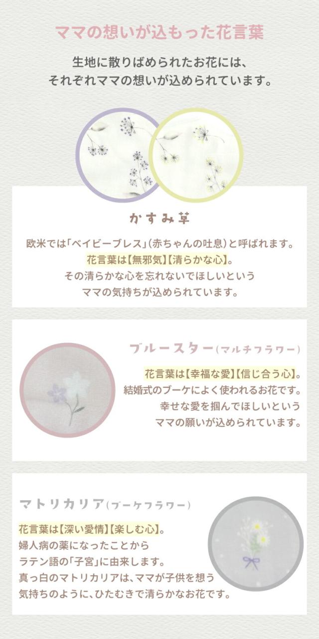 スタイ ヘアバンド ブルマ セット 可愛い キュート 箱入り BOX