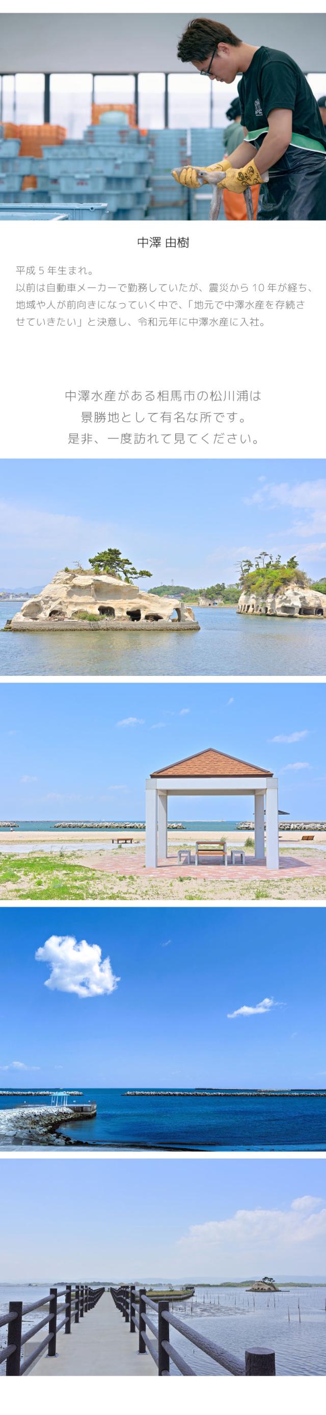 中澤水産 オーシャンブラザーズ 海鮮総菜セット 松川浦の平目 生海苔 たこ惣菜