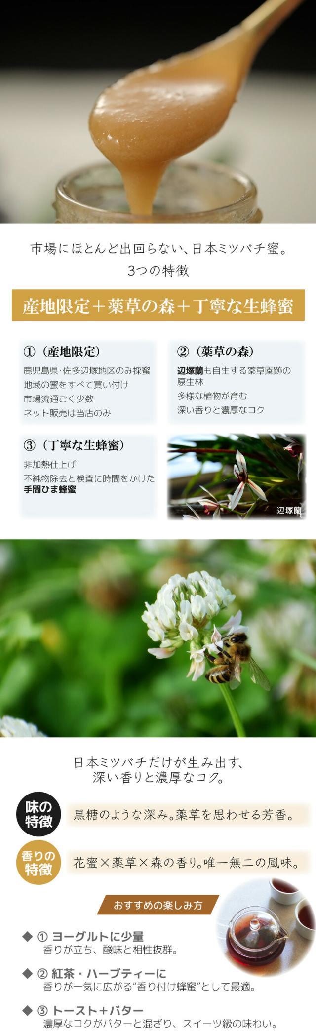 鹿児島県佐多地区周辺 日本ミツバチの生蜂蜜 非加熱 無濾過