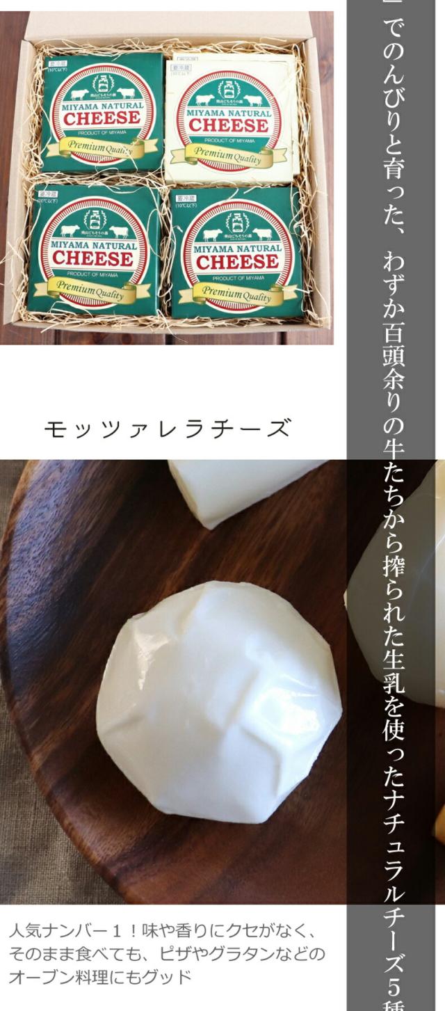 京都・かやぶき屋根の里美山町 美山チーズ人気の5種類セット（モッツァレラ・ストリング・燻しストリング・カチョカバロ・ゴーダ）