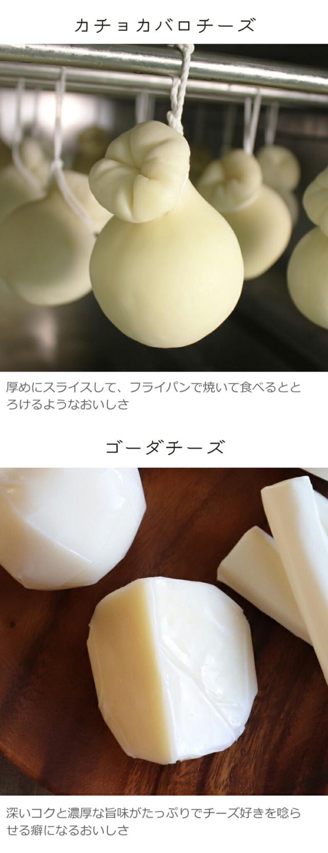 京都・かやぶき屋根の里美山町 美山チーズ人気の5種類セット（モッツァレラ・ストリング・燻しストリング・カチョカバロ・ゴーダ）