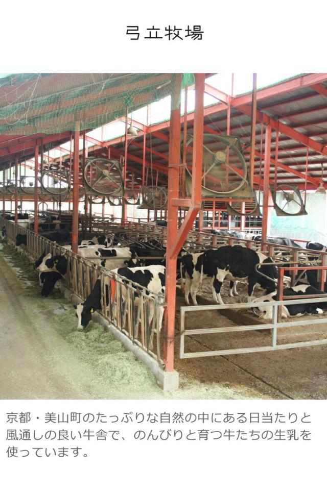 京都・かやぶき屋根の里美山町 美山チーズ人気の5種類セット（モッツァレラ・ストリング・燻しストリング・カチョカバロ・ゴーダ）