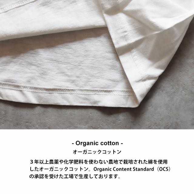 オーガニックコットンTシャツ