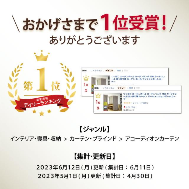 つっぱり 間仕切り カーテン デイリーランキング１位