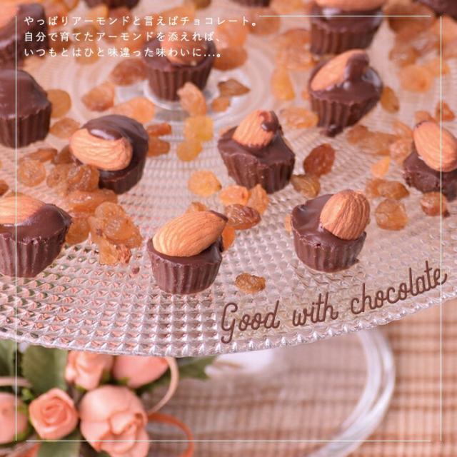 アーモンドチョコレート 観賞用