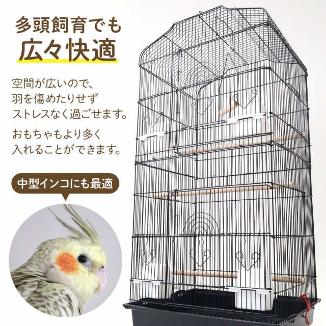 鳥かご バードケージ 鳥小屋 鳥カゴ 大型鳥かご 鳥 小鳥 ゲージ ケージ セキセイインコ 複数飼い インコ オウム 止まり木の通販はau PAY  マーケット - Regolith | au PAY マーケット－通販サイト