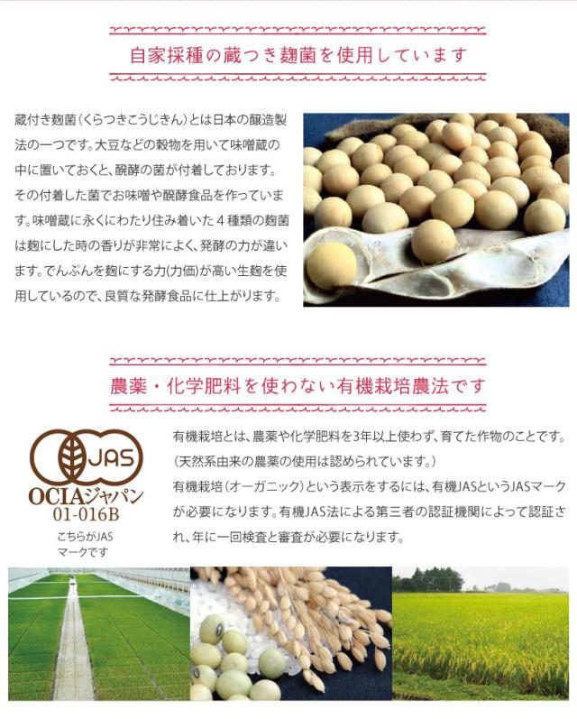 腸活日和　甘酒