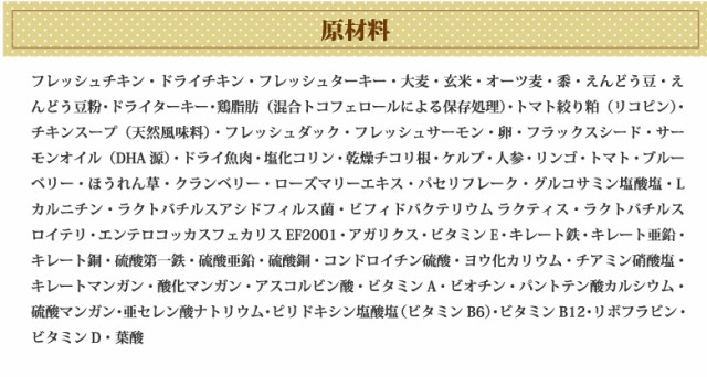 A[e~X AKNXC~[T|[g^^