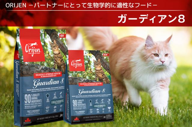 オリジン　ガーディアン８
