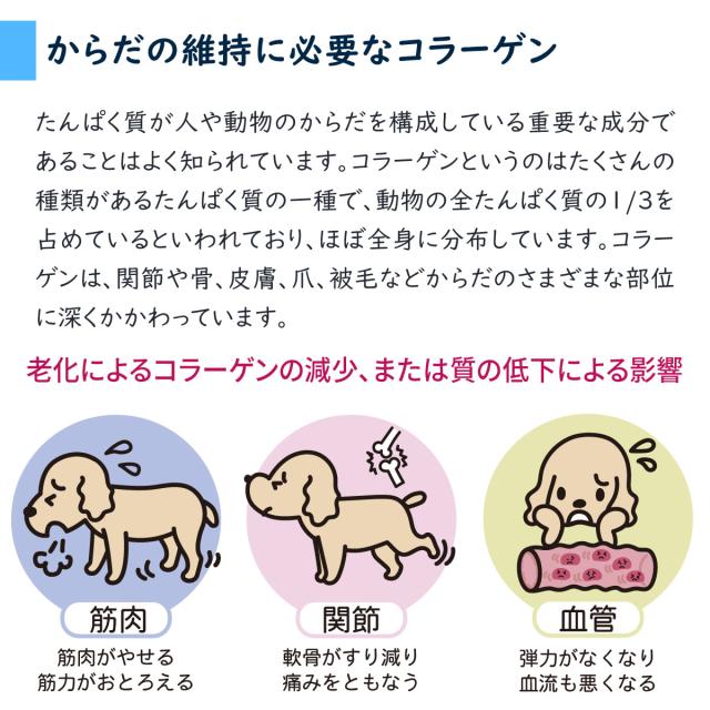 夢見るコラーゲン