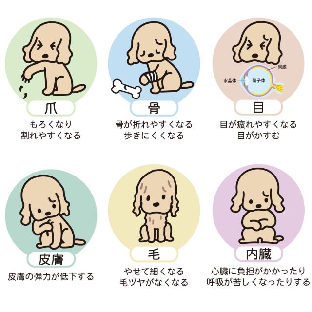 夢見るコラーゲン