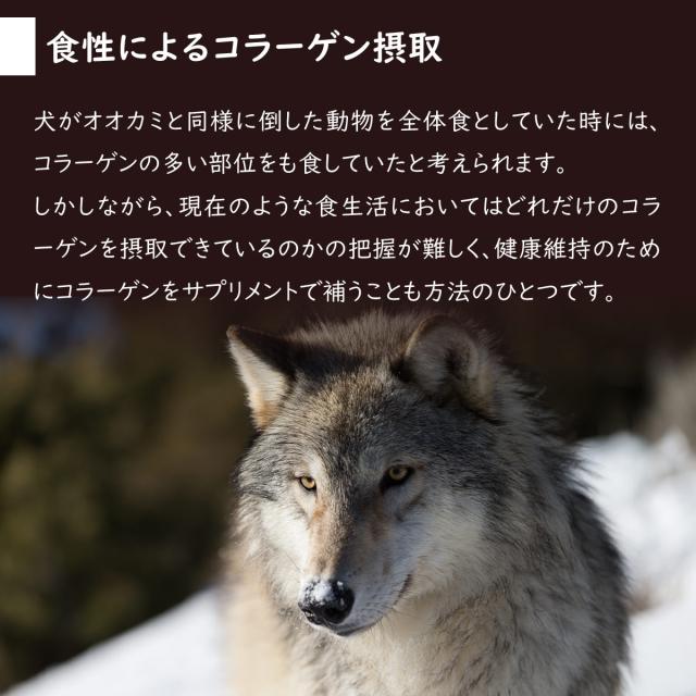 夢見るコラーゲン